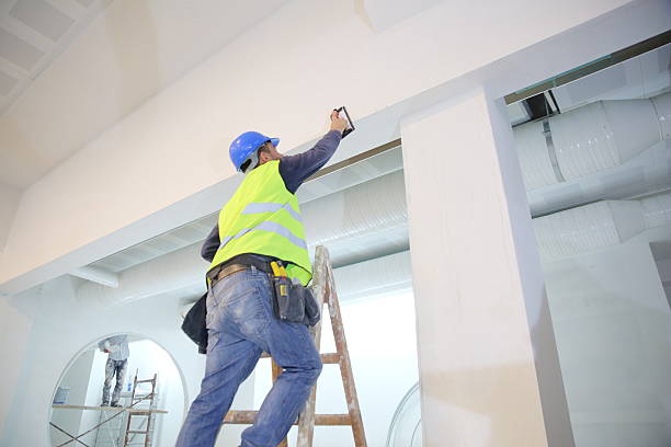 Best Drywall for New Construction  in Henderson, NC